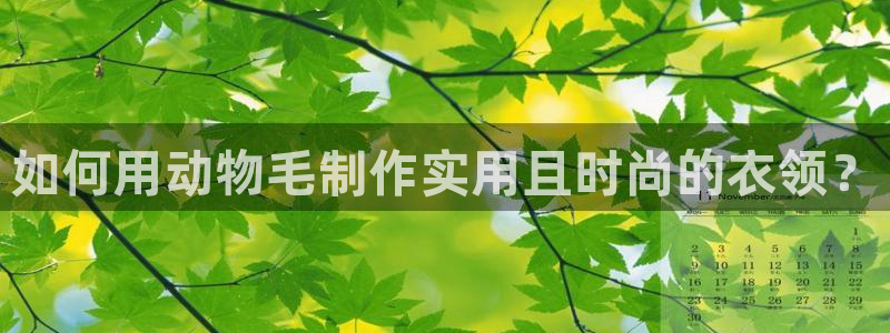 摩登7上3299O7