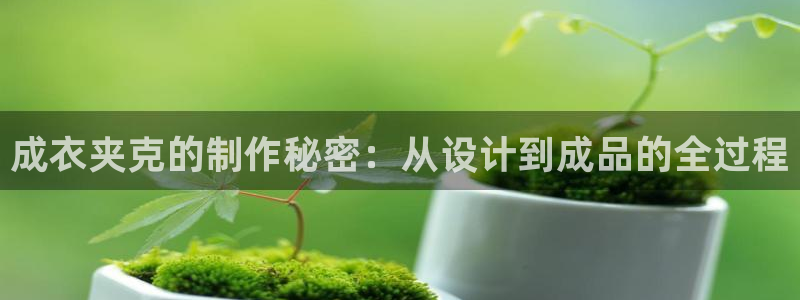 摩登招商臼金手指专业7