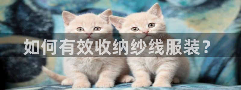 摩登7夜判官333OO