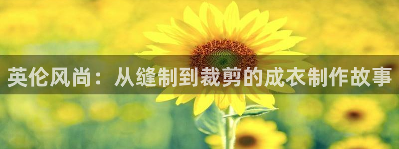 摩登7招商排名
