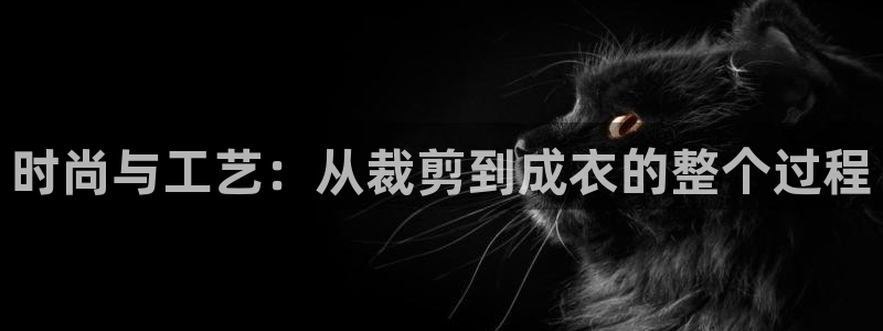 摩登6下7O667