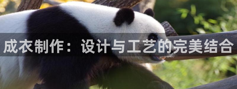 摩登7官网的详细介绍