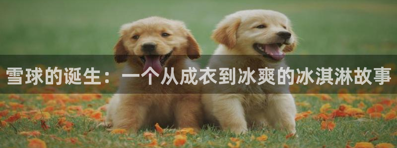 摩登3天7O667