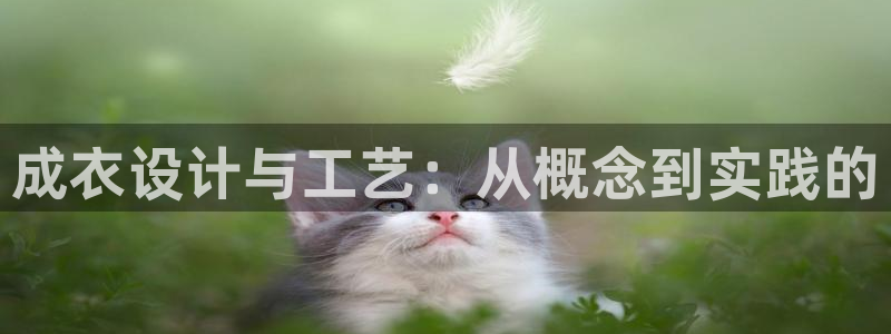 摩登7招商议333OO