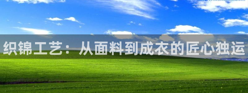 摩登7日7O667