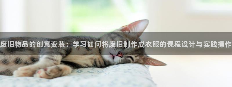 摩登7游戏