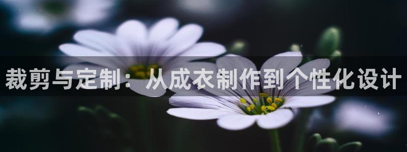 摩登3前7O667