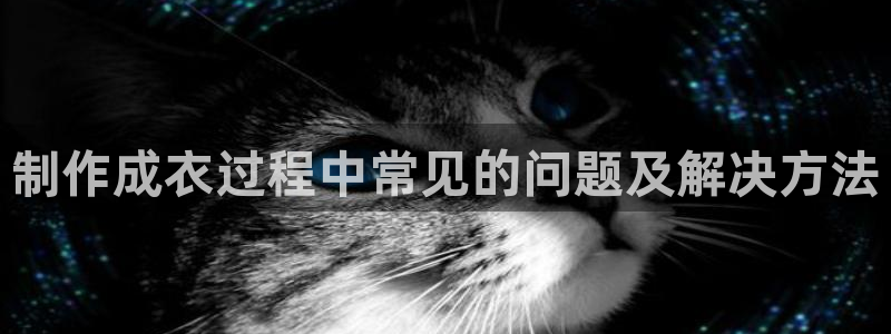 摩登7岁