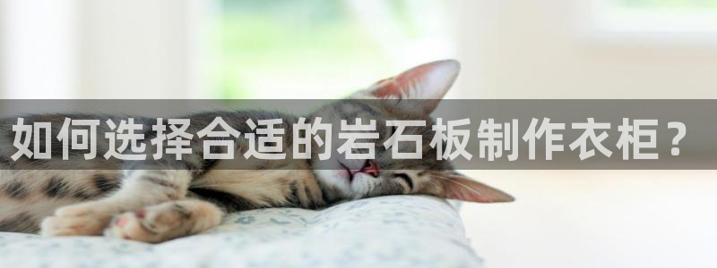 摩登7测速