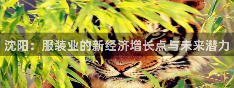 摩登7平台网址下载