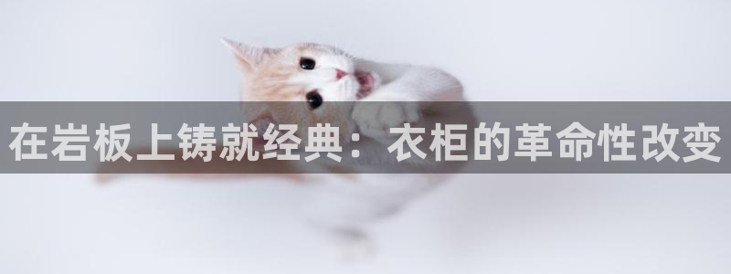 摩登7怎么登录不了了