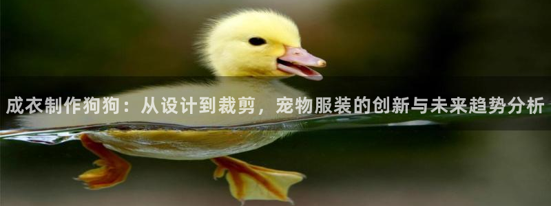 摩登7登录脱333OO