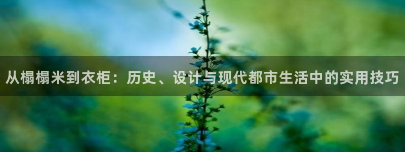 摩登7官网的详细介绍