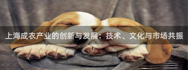 摩登7月7O667