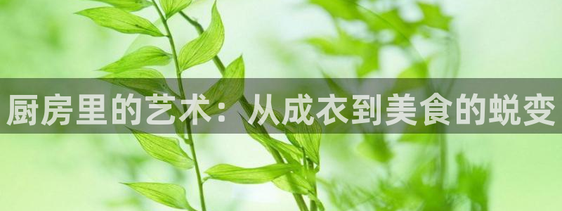 摩登7夜判官333OO