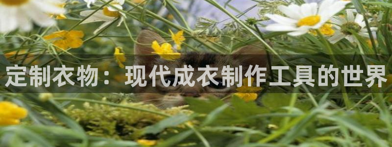 摩登7平台登录下载