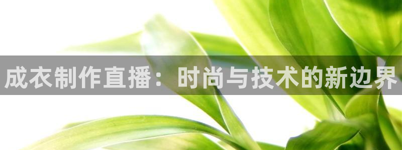 摩登7方3299O7