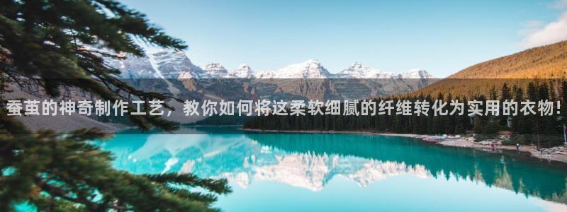 摩登招商7佳22650