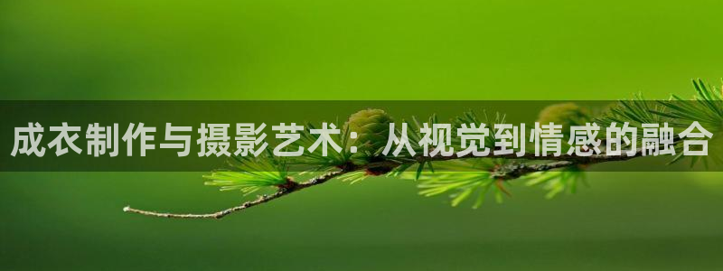 摩登7下载地址