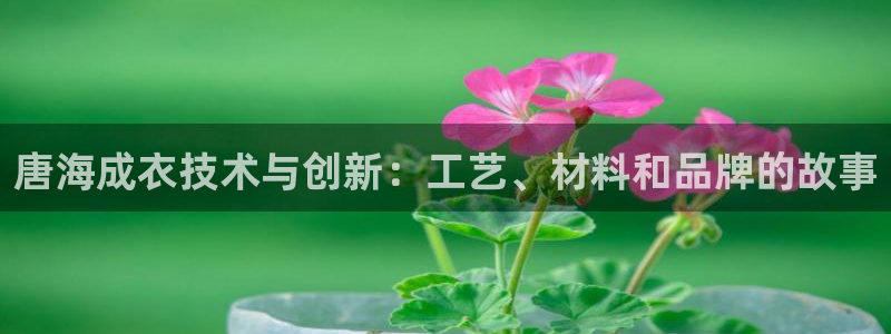 摩登7平台网址下载