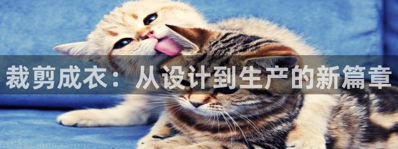 摩登7彩票平台登陆总代