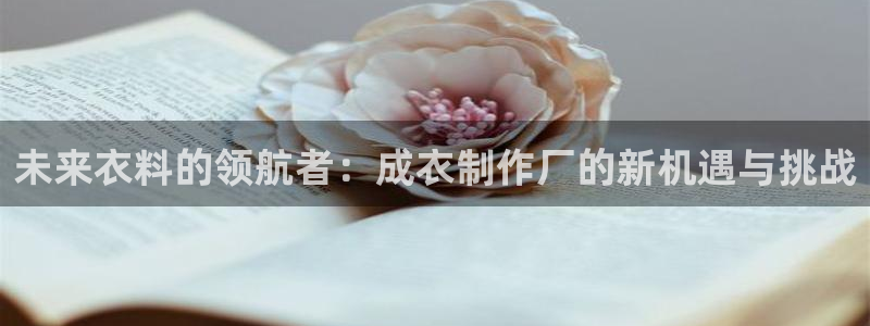 摩登7属于什么平台